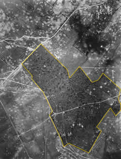 Aerial photograph of Kitchener's Wood, taken later in the war on 16th June 1917.