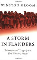 Book - A Storm in Flanders