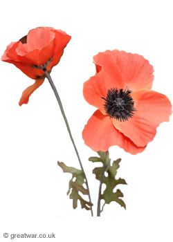 Artificial poppies