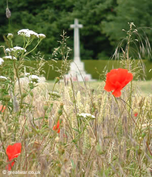 Poppies growing near Connaught British Military cemetery on the old Somme battlefield.