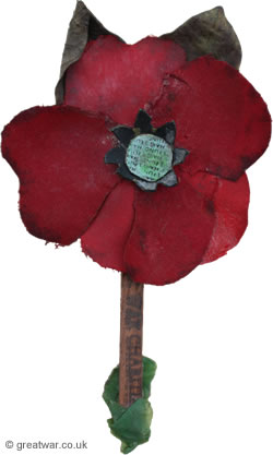 Haig Fund Poppy