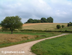 Trees on the lip of the Hawthorn mine crater, Beaumont Hamel.