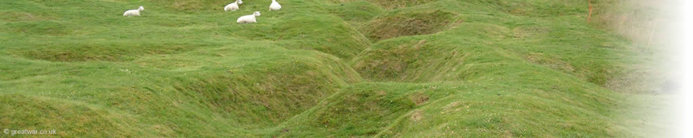 Preserved trench line at Newfoundland Memorial Park, Beaumont Hamel