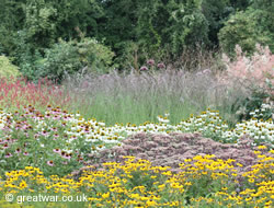 Plants at the Commonwealth War Graves Commission nursery next to the grounds of the Thiepval memorial and Anglo-British cemetery.