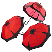 The Poppy Umbrella