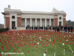 Flanders Field of Poppies.