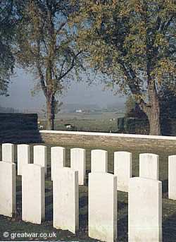 Two of the Canadian maple trees which line Canadalaan from the Menin Road to the Canadian Memorial at Hill 62 and Sanctuary Wood museum. The photograph is taken from the Sanctuary Wood Cemetery looking north to Hooge on the Menin Road.